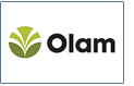 olam thumb newsletter