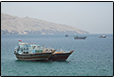 REUTERS DEMAND OIL IRAN