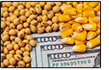 TARIFFS GLOBAL GRAIN
