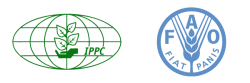 IPPC approves system for global ePhytosanitary Certificates